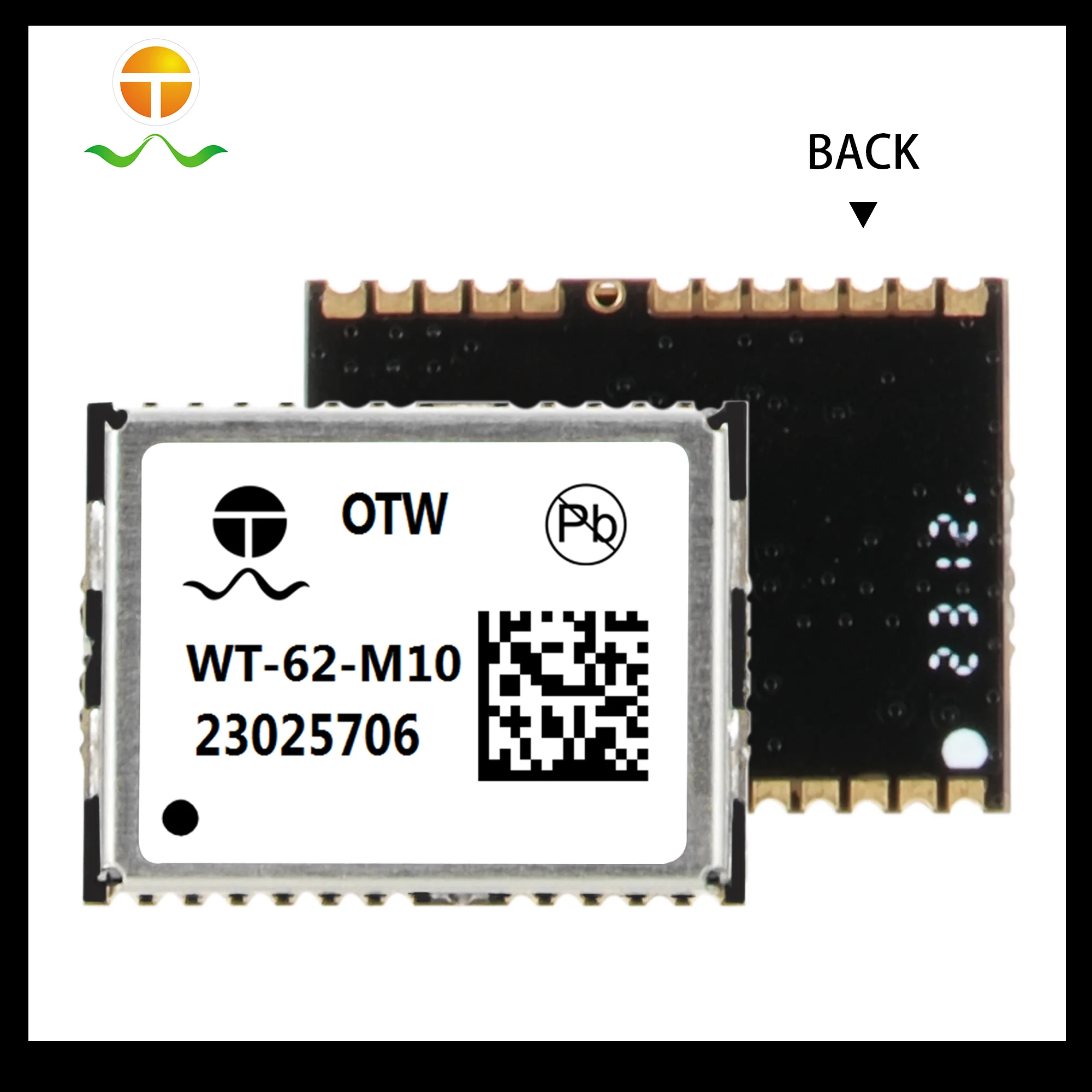WT-62-M10-front-back-bordered
